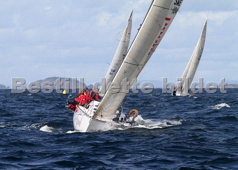 ORCi 345.jpg
